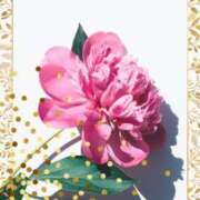 ヒメ日記 2025/09/06 15:01 投稿 みほ 佐世保人妻デリヘル「デリ夫人」