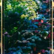 ヒメ日記 2025/09/17 16:29 投稿 みほ 佐世保人妻デリヘル「デリ夫人」