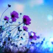 ヒメ日記 2025/09/20 21:35 投稿 みほ 佐世保人妻デリヘル「デリ夫人」