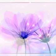 ヒメ日記 2025/09/23 10:30 投稿 みほ 佐世保人妻デリヘル「デリ夫人」