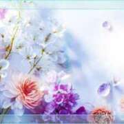 ヒメ日記 2025/09/27 18:04 投稿 みほ 佐世保人妻デリヘル「デリ夫人」