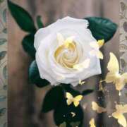 ヒメ日記 2025/09/30 21:52 投稿 みほ 佐世保人妻デリヘル「デリ夫人」