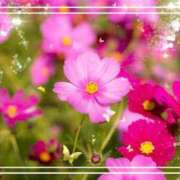 ヒメ日記 2025/10/02 21:23 投稿 みほ 佐世保人妻デリヘル「デリ夫人」