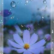 ヒメ日記 2025/10/04 13:55 投稿 みほ 佐世保人妻デリヘル「デリ夫人」