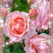 ヒメ日記 2025/10/09 11:01 投稿 みほ 佐世保人妻デリヘル「デリ夫人」