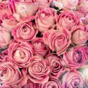 ヒメ日記 2025/10/11 11:47 投稿 みほ 佐世保人妻デリヘル「デリ夫人」