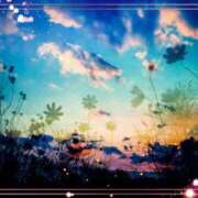 ヒメ日記 2025/11/09 09:31 投稿 みほ 佐世保人妻デリヘル「デリ夫人」