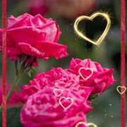 ヒメ日記 2025/11/22 23:46 投稿 みほ 佐世保人妻デリヘル「デリ夫人」