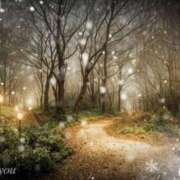 ヒメ日記 2026/01/05 22:39 投稿 みほ 佐世保人妻デリヘル「デリ夫人」