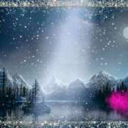 ヒメ日記 2026/01/29 15:22 投稿 みほ 佐世保人妻デリヘル「デリ夫人」