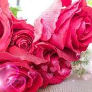 ヒメ日記 2026/01/31 21:48 投稿 みほ 佐世保人妻デリヘル「デリ夫人」