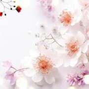 ヒメ日記 2026/02/05 10:40 投稿 みほ 佐世保人妻デリヘル「デリ夫人」