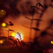 ヒメ日記 2026/02/06 21:57 投稿 みほ 佐世保人妻デリヘル「デリ夫人」