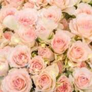 ヒメ日記 2026/02/12 20:24 投稿 みほ 佐世保人妻デリヘル「デリ夫人」