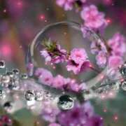 ヒメ日記 2026/02/22 12:56 投稿 みほ 佐世保人妻デリヘル「デリ夫人」