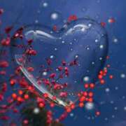 ヒメ日記 2026/02/28 00:01 投稿 みほ 佐世保人妻デリヘル「デリ夫人」