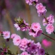 ヒメ日記 2026/03/03 17:01 投稿 みほ 佐世保人妻デリヘル「デリ夫人」