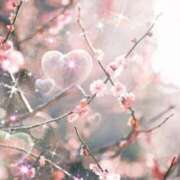 ヒメ日記 2026/03/18 14:07 投稿 みほ 佐世保人妻デリヘル「デリ夫人」