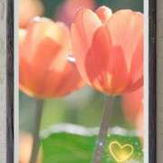 ヒメ日記 2026/03/25 00:34 投稿 みほ 佐世保人妻デリヘル「デリ夫人」