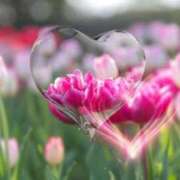 ヒメ日記 2026/03/25 22:20 投稿 みほ 佐世保人妻デリヘル「デリ夫人」