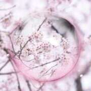 ヒメ日記 2026/03/28 10:55 投稿 みほ 佐世保人妻デリヘル「デリ夫人」