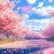 ヒメ日記 2026/03/31 13:09 投稿 みほ 佐世保人妻デリヘル「デリ夫人」