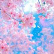 ヒメ日記 2026/04/01 14:35 投稿 みほ 佐世保人妻デリヘル「デリ夫人」