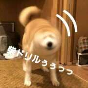 ヒメ日記 2026/04/08 15:17 投稿 みほ 佐世保人妻デリヘル「デリ夫人」