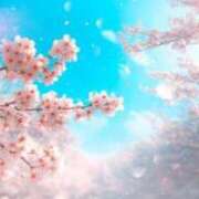 ヒメ日記 2026/04/09 00:15 投稿 みほ 佐世保人妻デリヘル「デリ夫人」