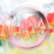 ヒメ日記 2026/04/11 16:49 投稿 みほ 佐世保人妻デリヘル「デリ夫人」