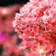 ヒメ日記 2026/04/18 10:05 投稿 みほ 佐世保人妻デリヘル「デリ夫人」