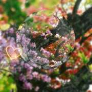 ヒメ日記 2026/04/23 10:17 投稿 みほ 佐世保人妻デリヘル「デリ夫人」