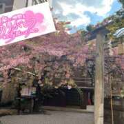 ヒメ日記 2025/03/20 20:37 投稿 優子(ゆうこ) 上野人妻城