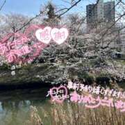 ヒメ日記 2025/04/03 15:28 投稿 優子(ゆうこ) 上野人妻城