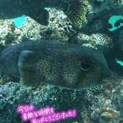 ヒメ日記 2025/10/17 21:32 投稿 優子(ゆうこ) 上野人妻城