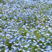 ヒメ日記 2025/05/04 23:50 投稿 もも ギン妻パラダイス 和歌山店