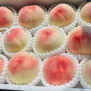 ヒメ日記 2025/07/05 15:09 投稿 もも ギン妻パラダイス 和歌山店