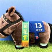 ヒメ日記 2026/01/07 21:29 投稿 もも ギン妻パラダイス 和歌山店