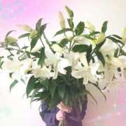 ヒメ日記 2025/06/04 12:44 投稿 いと 即アポ奥さん～浜松店～