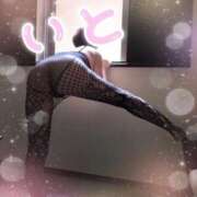 ヒメ日記 2025/07/03 16:24 投稿 いと 即アポ奥さん～浜松店～