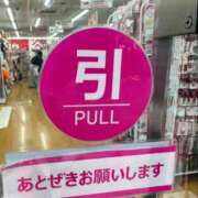 ヒメ日記 2025/10/12 13:24 投稿 石田 ゆき マリンマリン