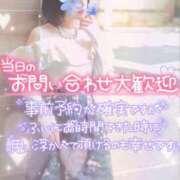 立花 🧜‍♀️3/3日目🫧 ANECOTE