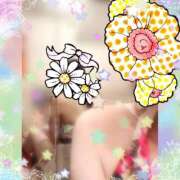 ヒメ日記 2025/09/12 05:31 投稿 モカ 水戸角海老