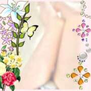 ヒメ日記 2025/09/15 05:21 投稿 モカ 水戸角海老