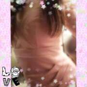 ヒメ日記 2025/10/17 05:31 投稿 モカ 水戸角海老