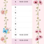 ヒメ日記 2026/01/04 15:41 投稿 モカ 水戸角海老