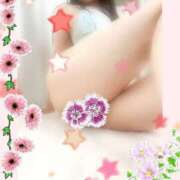 ヒメ日記 2026/01/10 15:21 投稿 モカ 水戸角海老