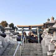 ヒメ日記 2026/01/17 22:21 投稿 モカ 水戸角海老