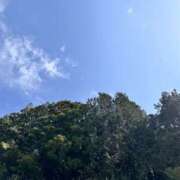 ヒメ日記 2026/03/27 13:11 投稿 モカ 水戸角海老