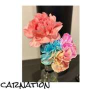 ヒメ日記 2025/05/12 17:52 投稿 さわ 山梨デリヘル 人妻物語 ～極～